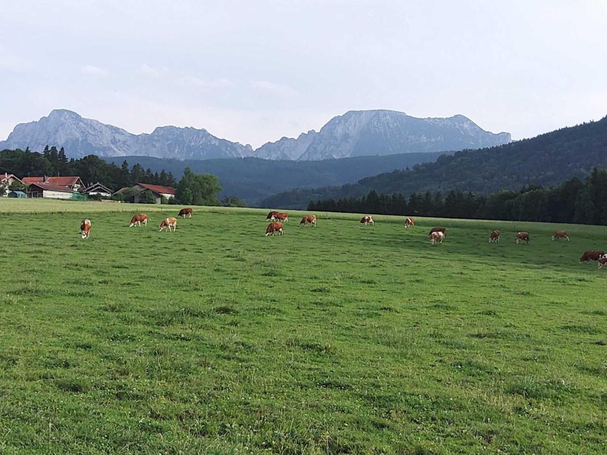 Strasser-Hof Teisendorf Eksteriør billede
